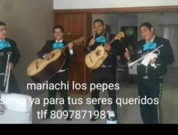 Mariachi los pepes. 