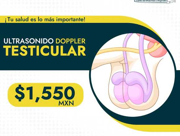 Ultrasonido Doppler testicular 