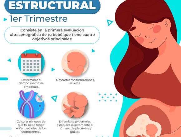 Ultrasonido estructural 1er trimestre