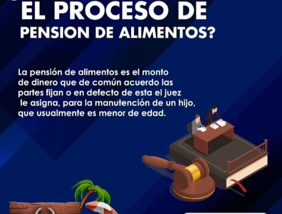 ABOGADOS- campaña Pensión De Alimentos