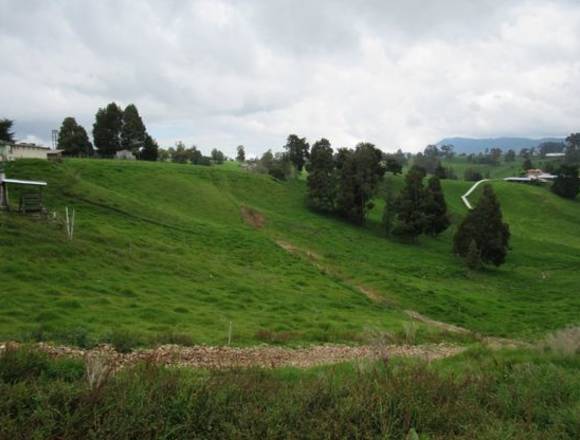 Venta Lote Vereda La China, Vía San Pedro de los Milagros.