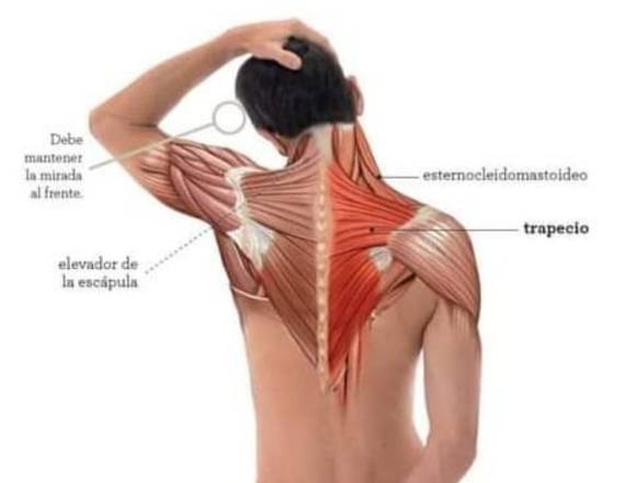 BIENESTAR TERAPIAS ALTERNATIVAS