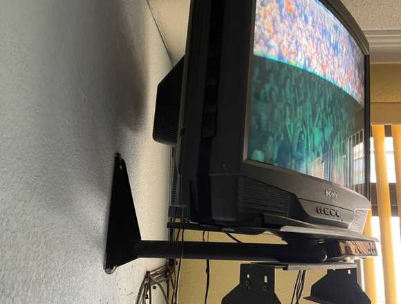 Vendo TV 27’ con descodificador y soporte pared