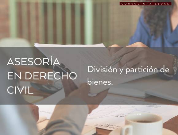  DIVISIÓN Y PARTICIÓN DE BIENES