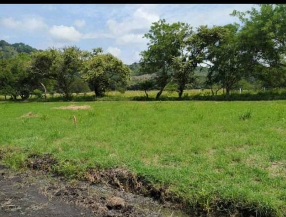 Se vende lote campestre de 200.6m² Bl./35,000.00