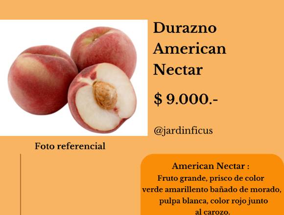 Durazmo American Nectar- Árboles Frutales