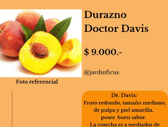 Arbol Frutal-Durazno Doctor Davis en Jardin Ficus