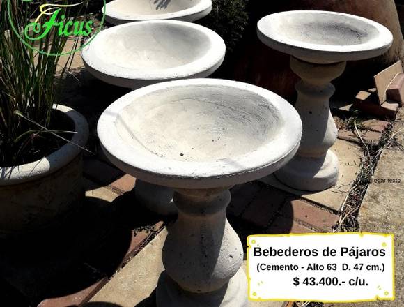 BEBEDERO PARA PÁJAROS EN JARDIN FICUS QUILPUÉ.