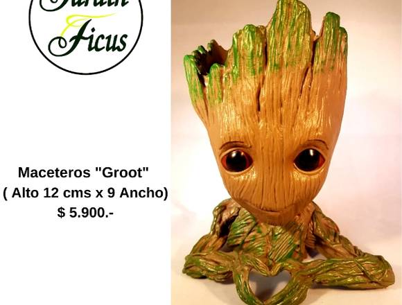 Jardín Ficus ofrece lindos Maceteros "Groot"  