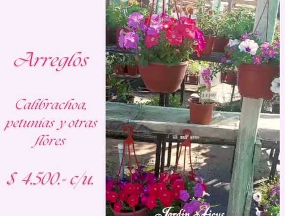 Arreglos de Calibrachoas, Perunias y otras flores