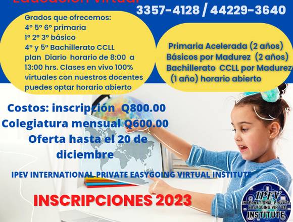 Servicios educativos  100% virtuales 