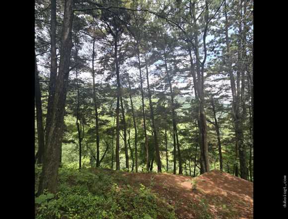 Terreno en Venta en Lo de Coy Mixco