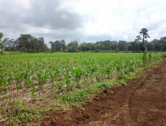 Vendo Hermosa Finca.