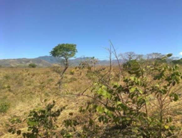 Terreno Grande en Venta, Moyuta Jutiapa