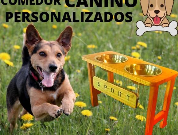 Comedor para perros personalizados 