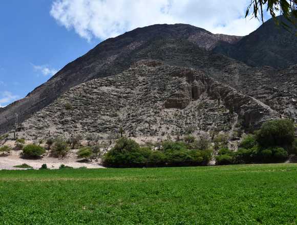 Dueño Directo Vende Hectáreas En Purmamarca Jujuy