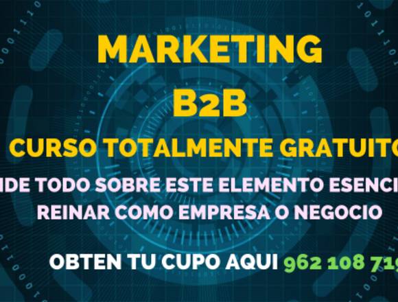 ESCOOL, Curso virtual sobre el Marketing b2b 