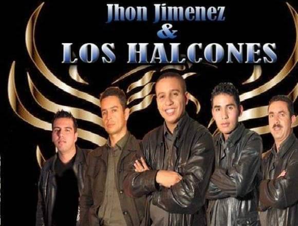 Grupo musical Halcones d.c