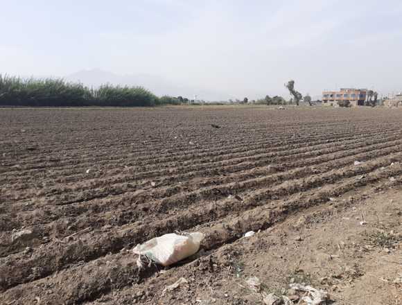 OCASION TERRENO DE 19,877m2 – CHACRA CERRO - COMAS