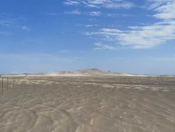 VENDO TERRENO DE 50 HA – PARACAS