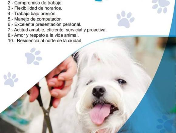 Peluqueria Canina y felina 