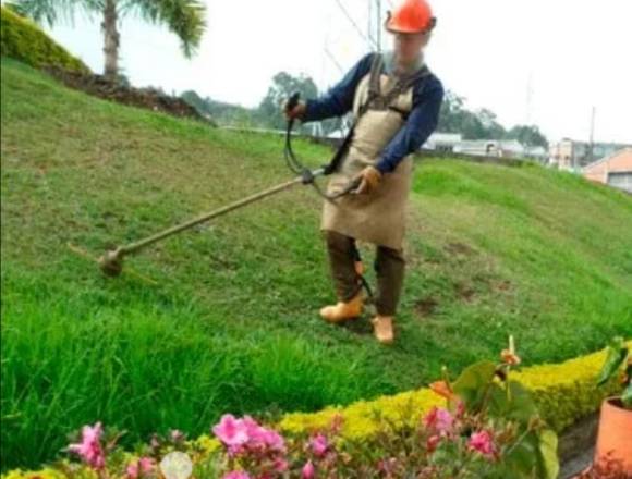 Mantenimiento y adecuación de jardines. 