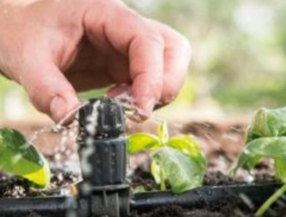 Sistema para ahorro de agua en sus plantas.