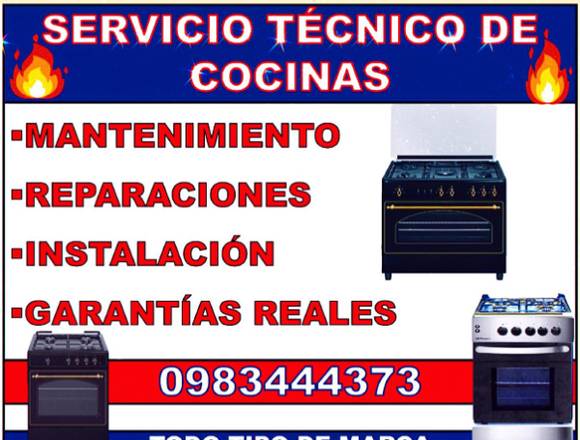 servicio técnico de cocinas a domicilio 