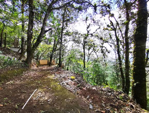 Terreno en Aldea El Hato