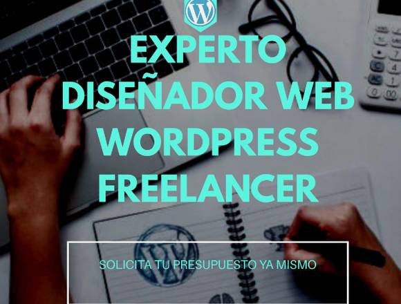 Diseñador Web Freelancer A Tus Ordenes