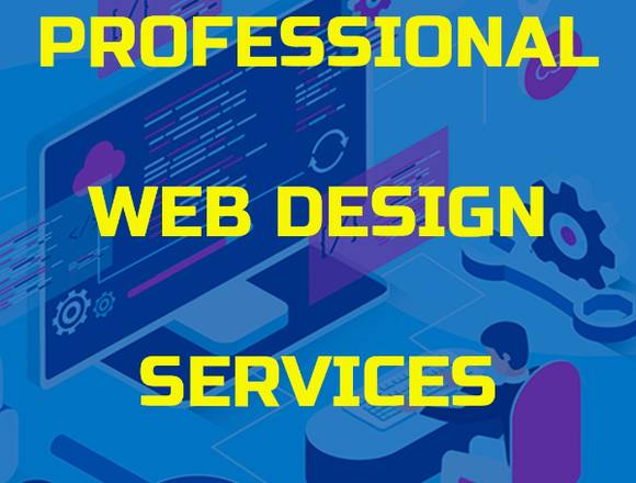 Professional web design service for companies