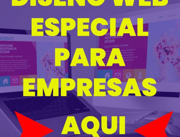 Servicio De Diseño Web Profesional Para Empresas