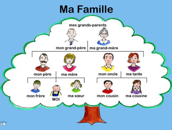 Apoyo escolar para niños clases de francés.