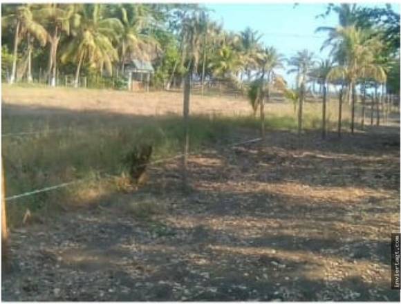 Vendo Terreno en Monterrico km132 Ref-1856