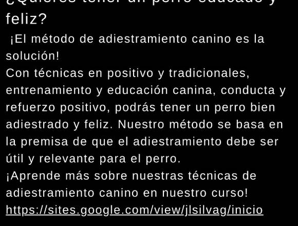 ¡El método de adiestramiento canino es la solución