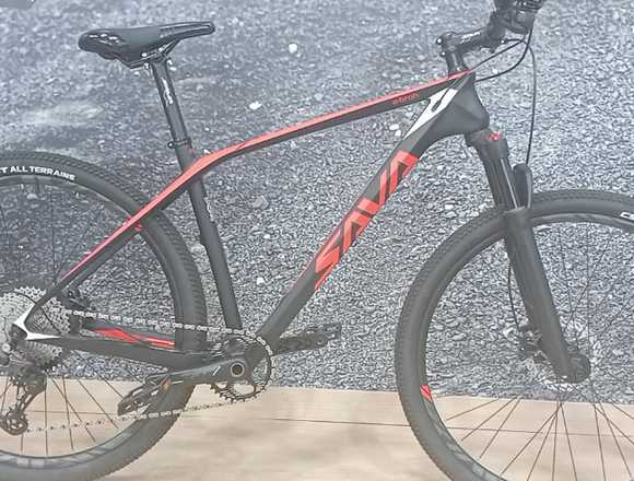 MTB CARBONO MONOPLATO