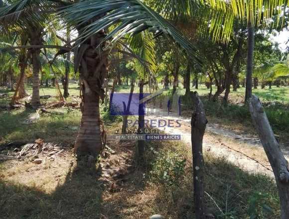 T519 Terreno en venta en Isla de Ixtapa