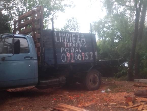 Podas y limpieza de terreno 