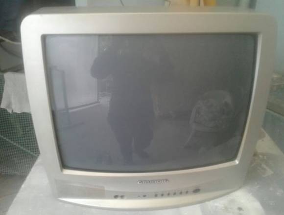 Televisor GRUNDIG de 20” con control remoto