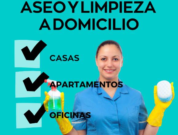 servicio de aseo domestico para tu hogar