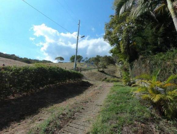 Lote en venta Vereda La Veta Copacabana 