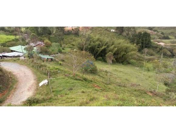 Lotes en venta Santo domingo Antioquia 