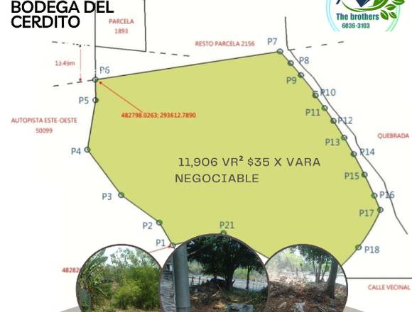 Se vende terreno carretera de oro 