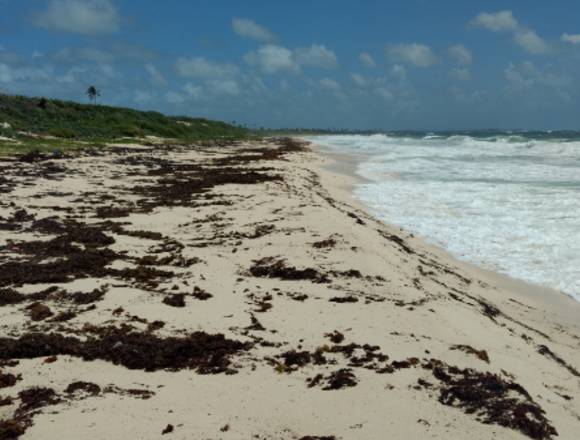 TERRENO MAHAHUAL 193 MT DE PLAYA 