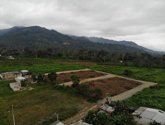 Genera ingresos pasivos con este terreno 