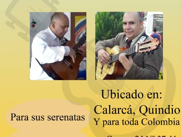 SERVICIO MUSICAL PROFESIONAL