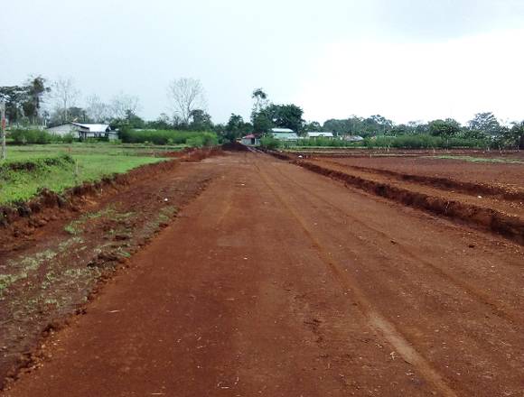 Siembra aqui tu agricultura