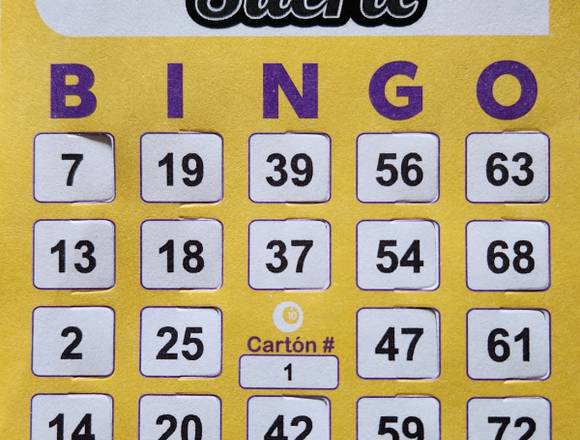 Cartones de Bingo paquete por 100