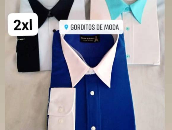 POLOS DE HOMBRE, PLUS SIZE MEN, TALLAS GRANDES