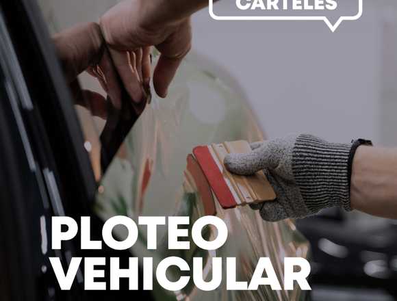 Ploteo Vehicular Completo